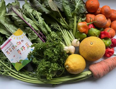 熊本天草　天草段々畑の夢野菜　馬場さん